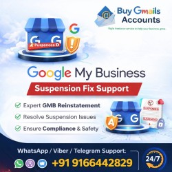 Google My Business Suspension Fix Support