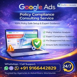 Google Ads Policy Compliance Consulting Service